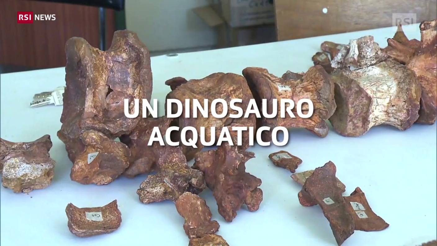 dinosauro.mp4