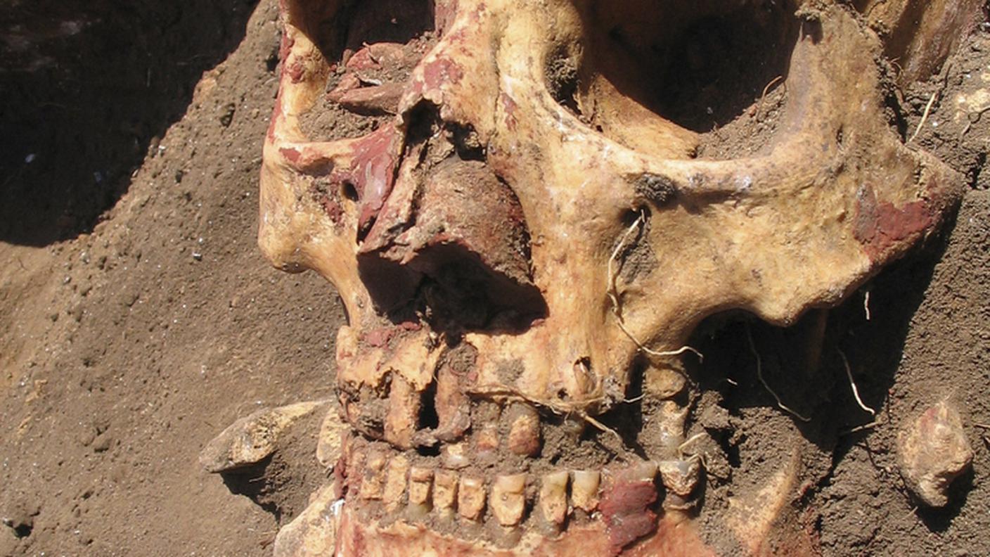 Uno dei teschi dai cui sono stati prelevati i campioni