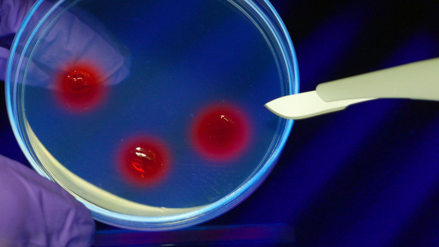 Molecole scoperte da scienziati italiani e statunitensi