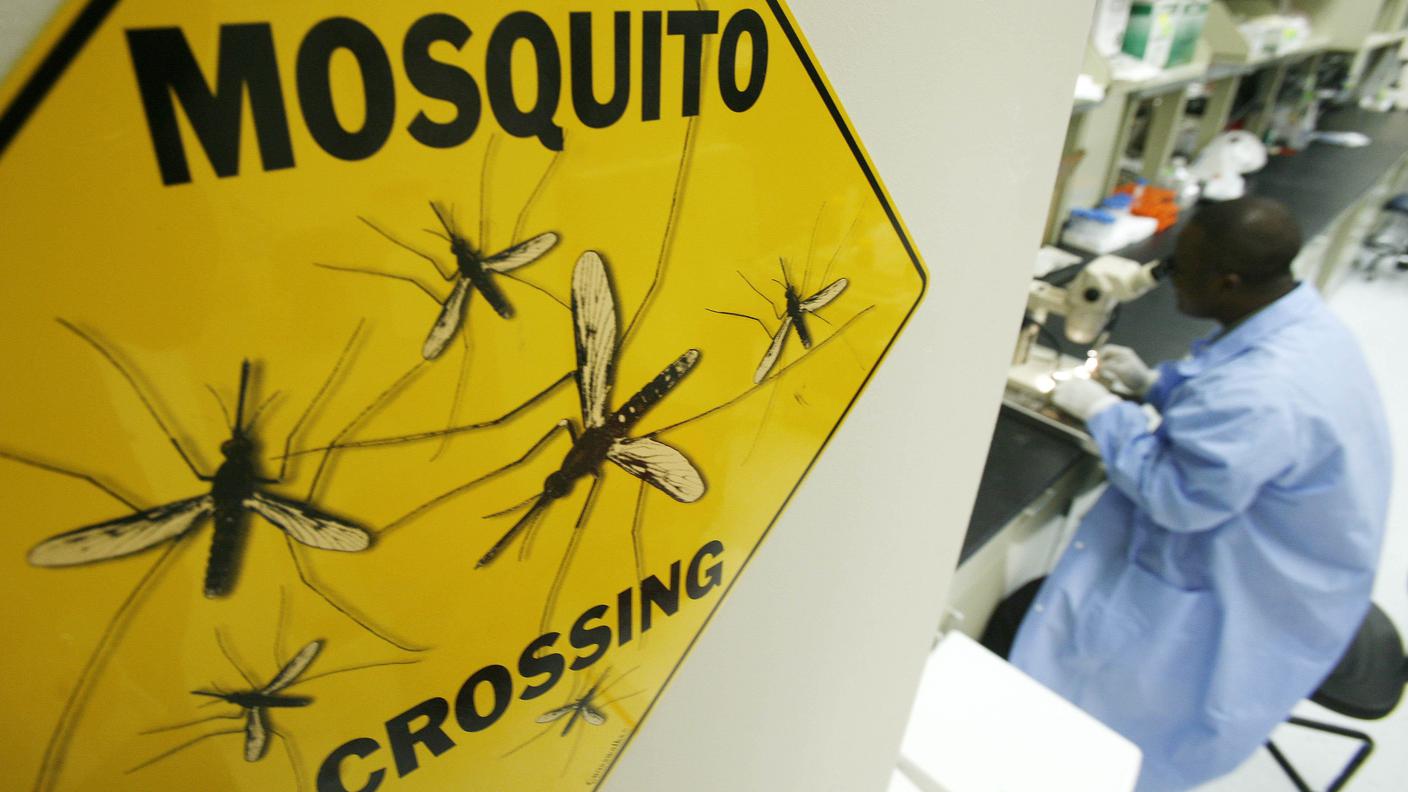 Lo studio a cui ha contribuito l'IRB sarà utile contro la malaria