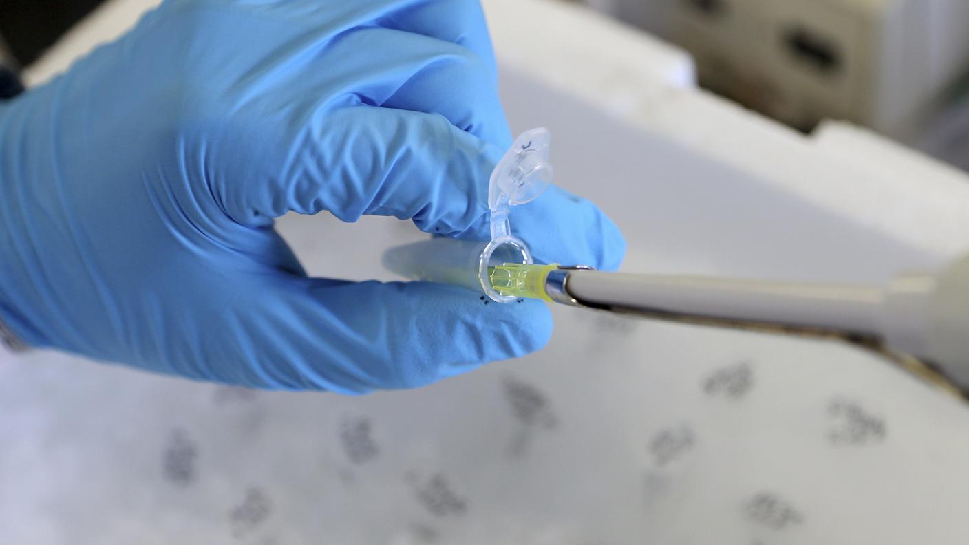 Si potranno creare farmaci più efficaci contro il glioblastoma