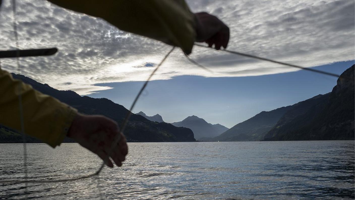 Il rendimento della pesca è proporzionale alla concentrazione di fosforo