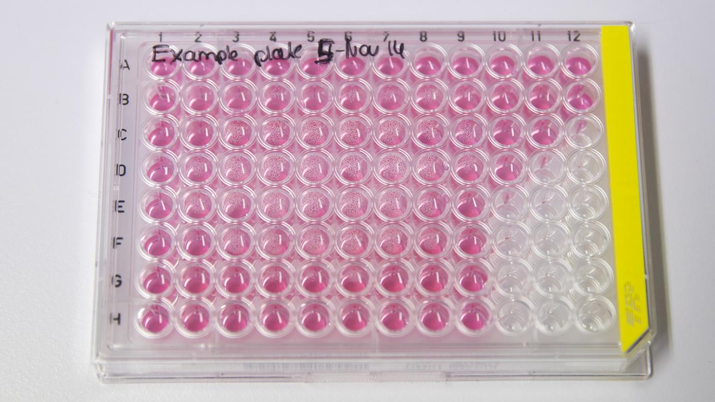 Progetto di ricerca controverso