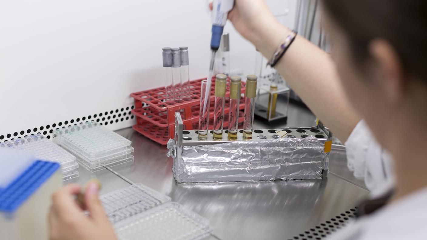 Individuati batteri vecchi di 15 milioni di anni