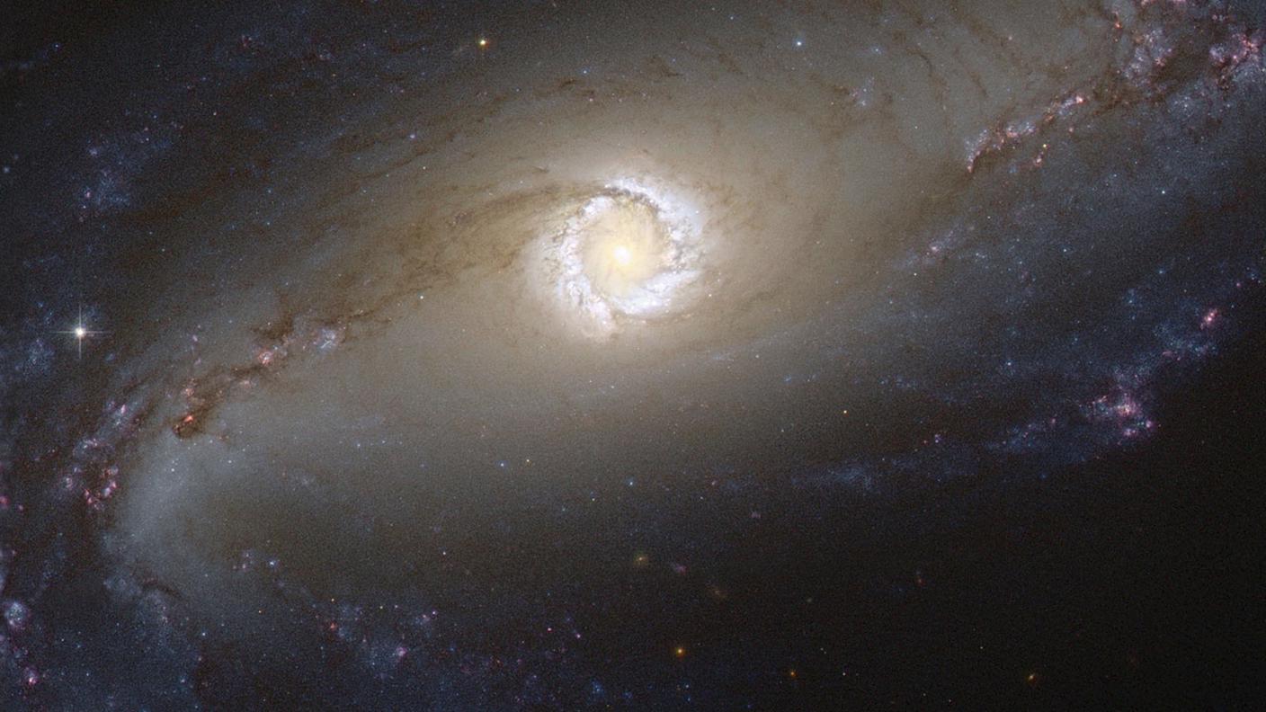 L'ammasso di galassie è una vera sorgente di nuovi corpi celesti