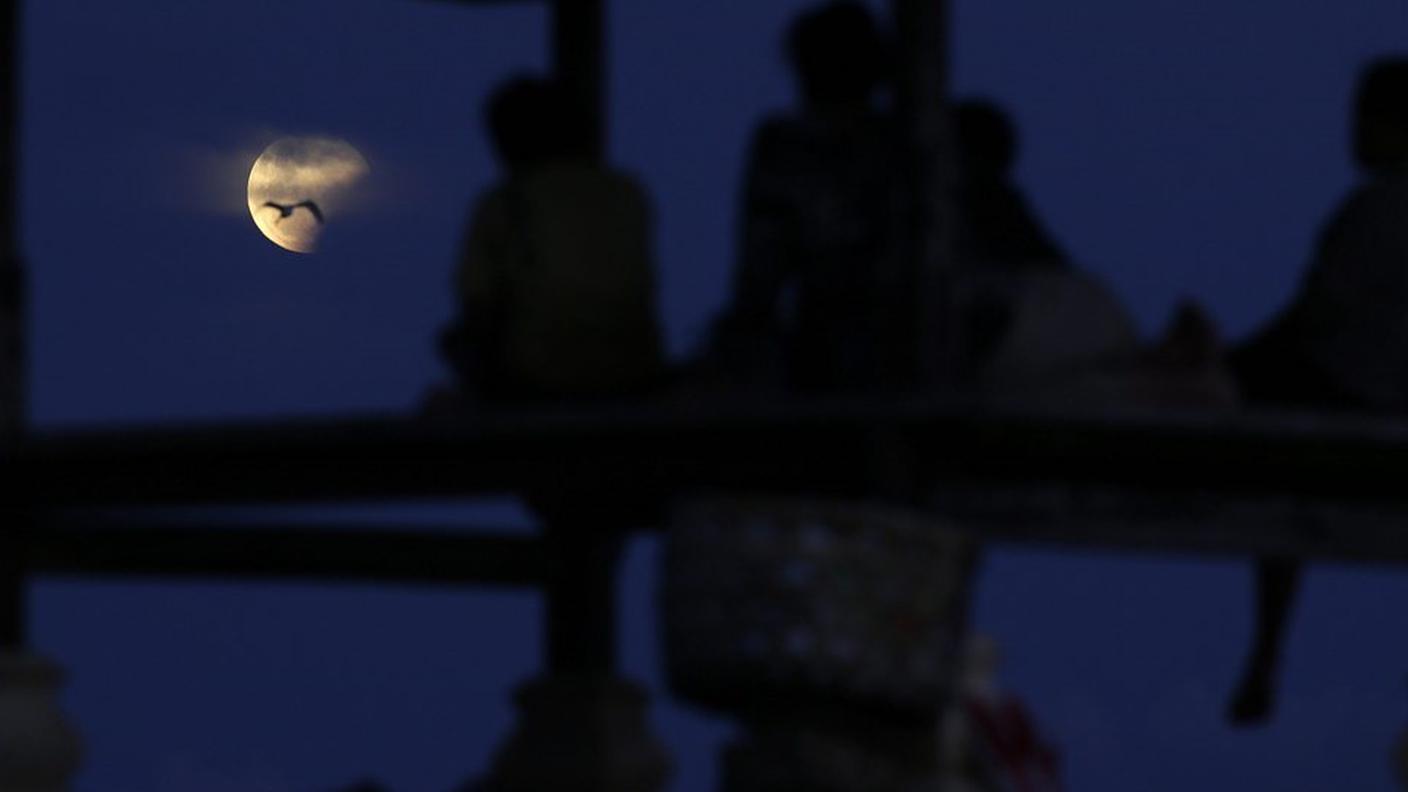 Tra terra e luna c'è un legame fortissimo che risale alla notte dei tempi