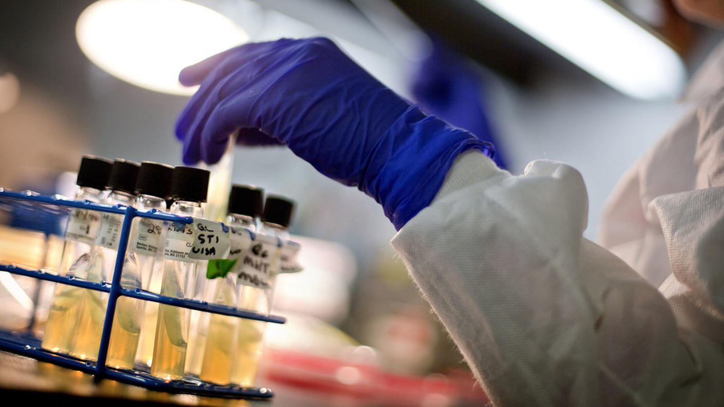 La scoperta è dei ricercatori dell'Università della California di Los Angeles