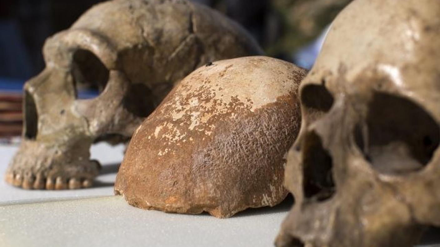 Gli Hobbit si sono estinti circa 50'000 anni fa