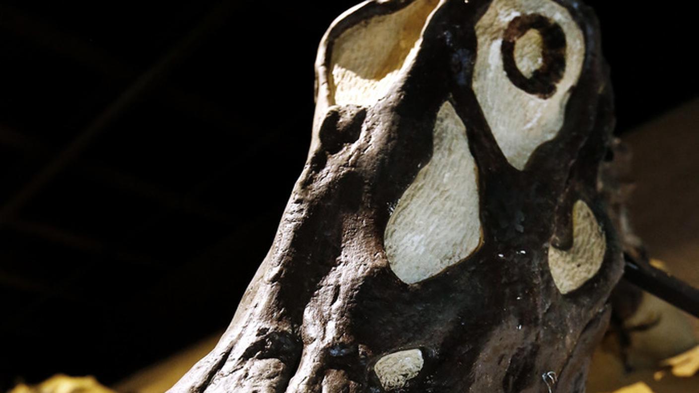 Primo piano di  diplodoco di 150 milioni di anni