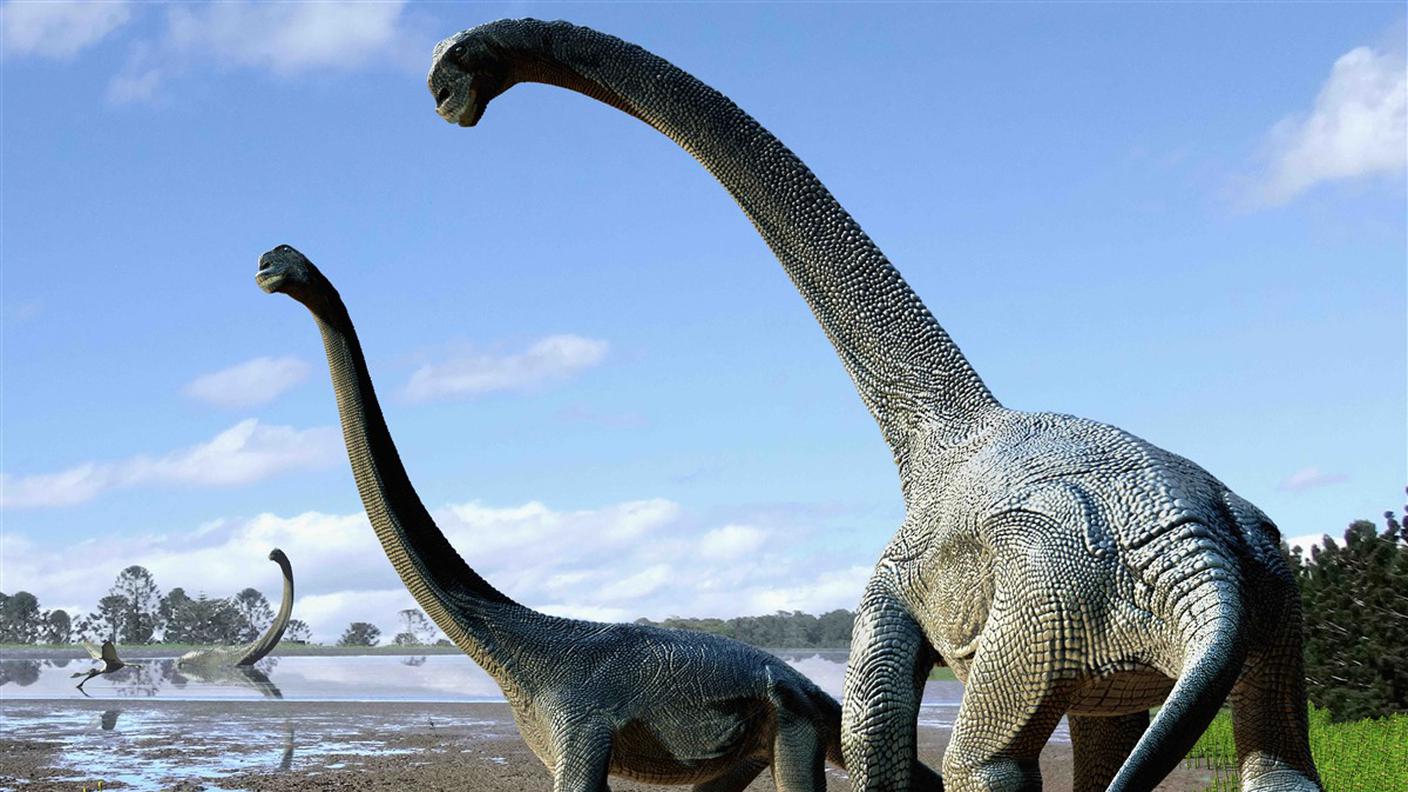 Un nuovo gigante buono