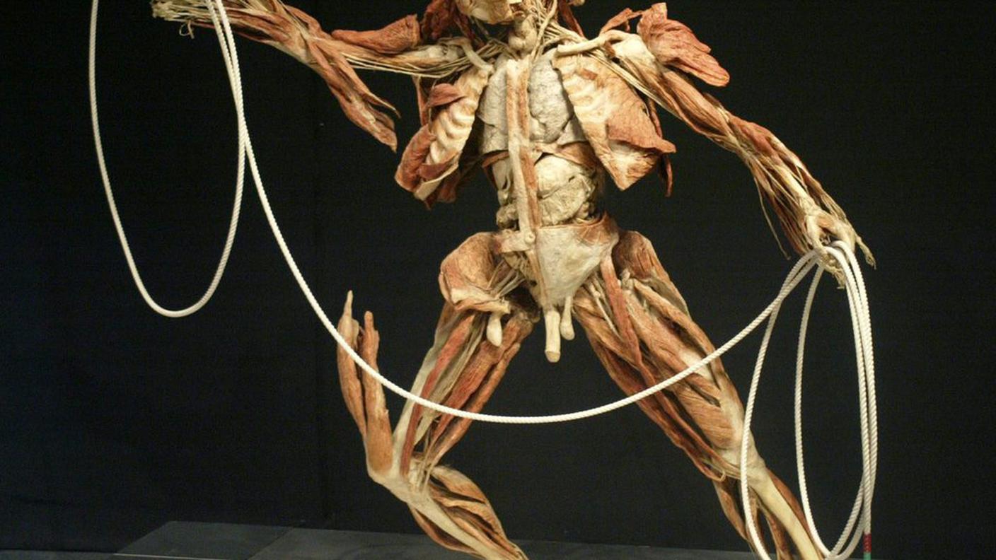 Real Bodies  6