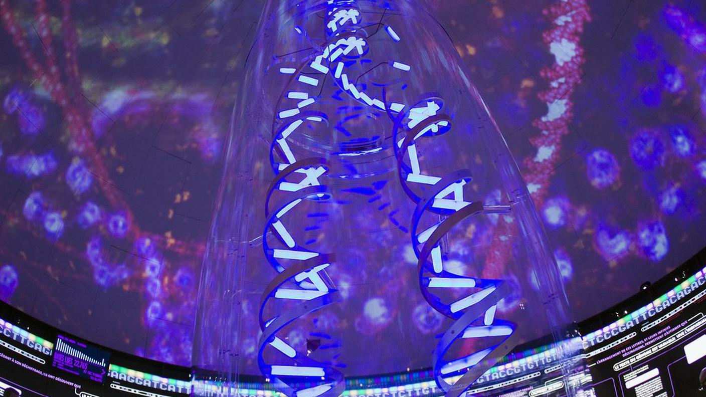 Un inedito super software indaga il DNA