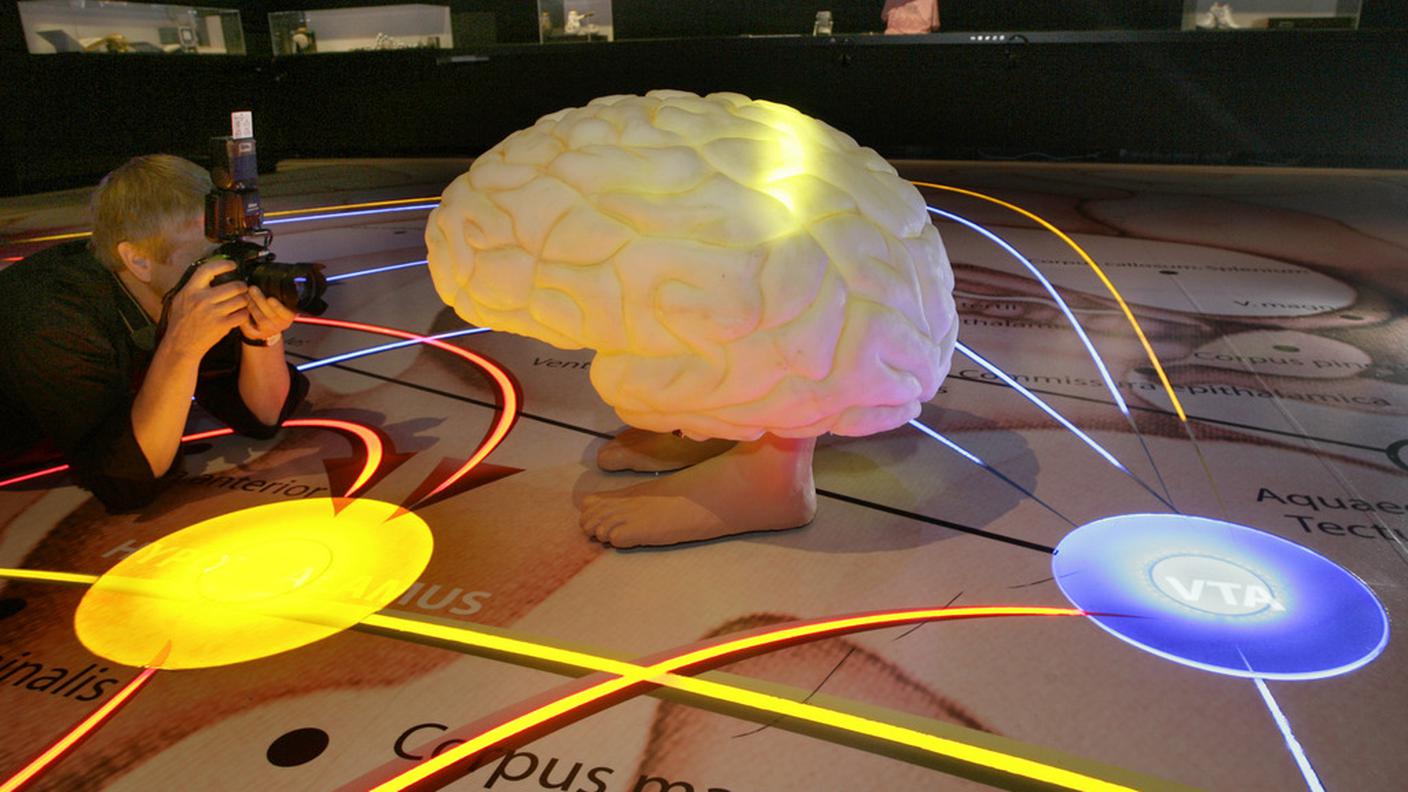 Un pool di scienziati per scoprire i segreti del cervello