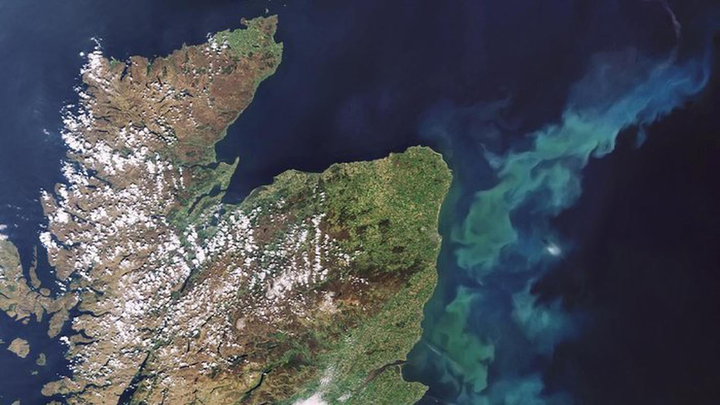 Fioritura di fitoplancton al largo della Scozia, una delle tante immagini del programma Copernicus