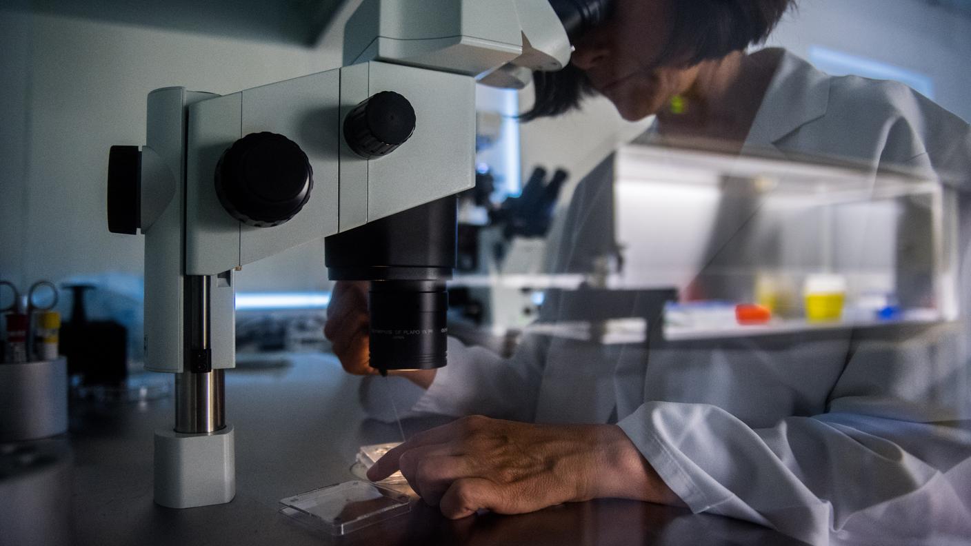 L'analisi ha evidenziato l'attività anomala di una proteina