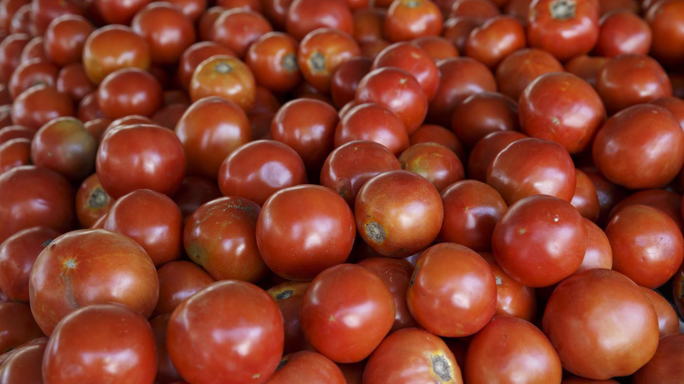A caccia del sapore perduto