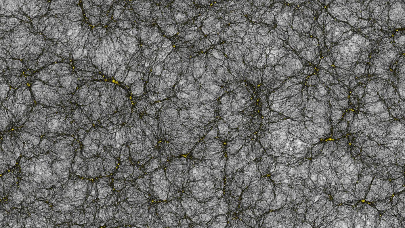 Una delle immagini frutto della simulazione