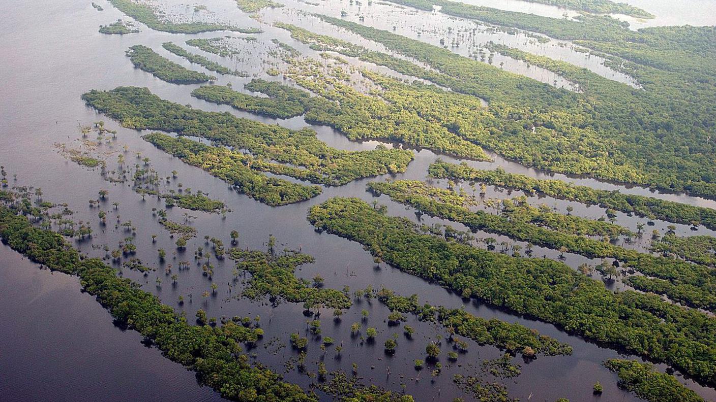 Critiche al presidente brasiliano per la deforestazione in Amazzonia