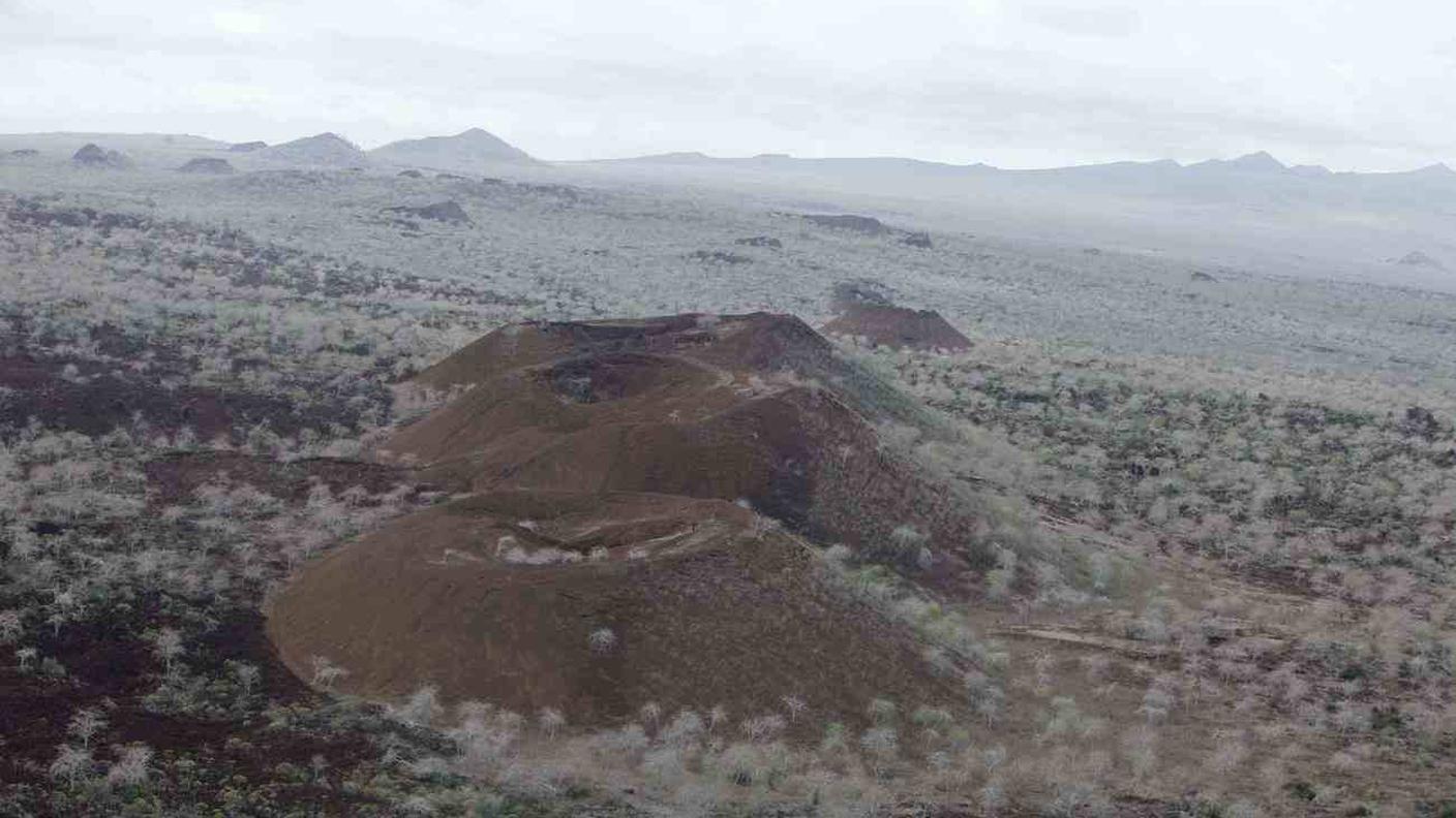 Galapagos, pulizie e analisi per difendere l'ecosistema delle isole