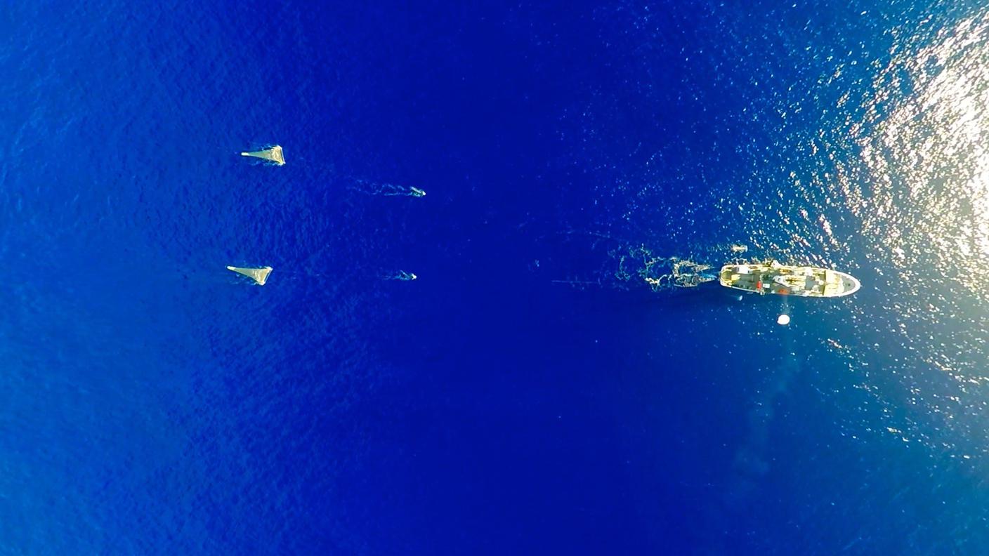A pesca di schifezze