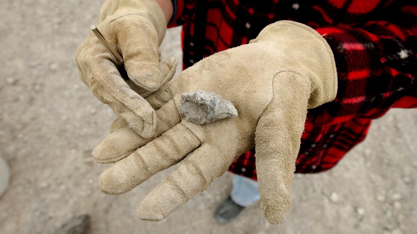 Fossili rivelatori