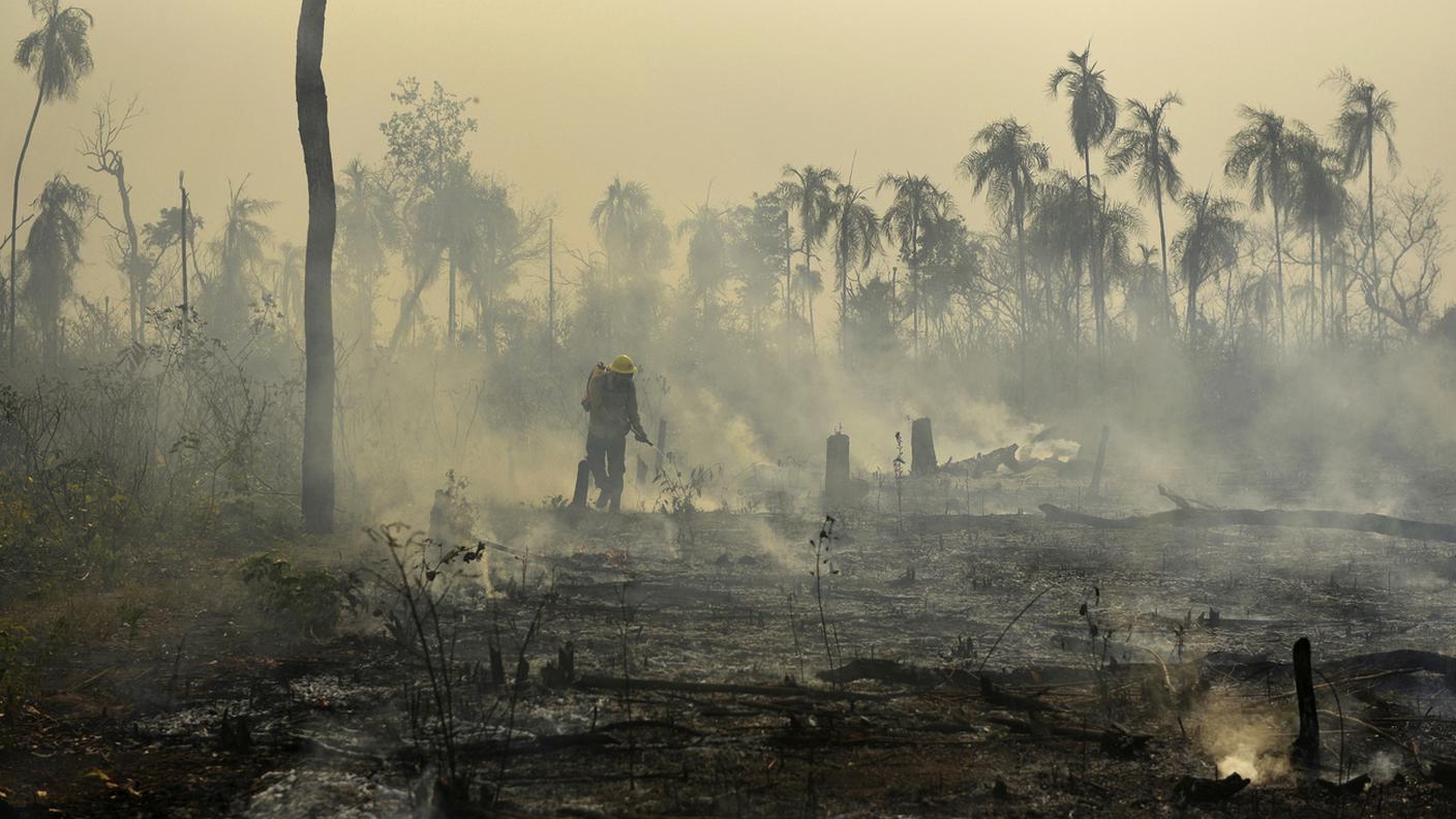 Amazzonia sempre più devastata