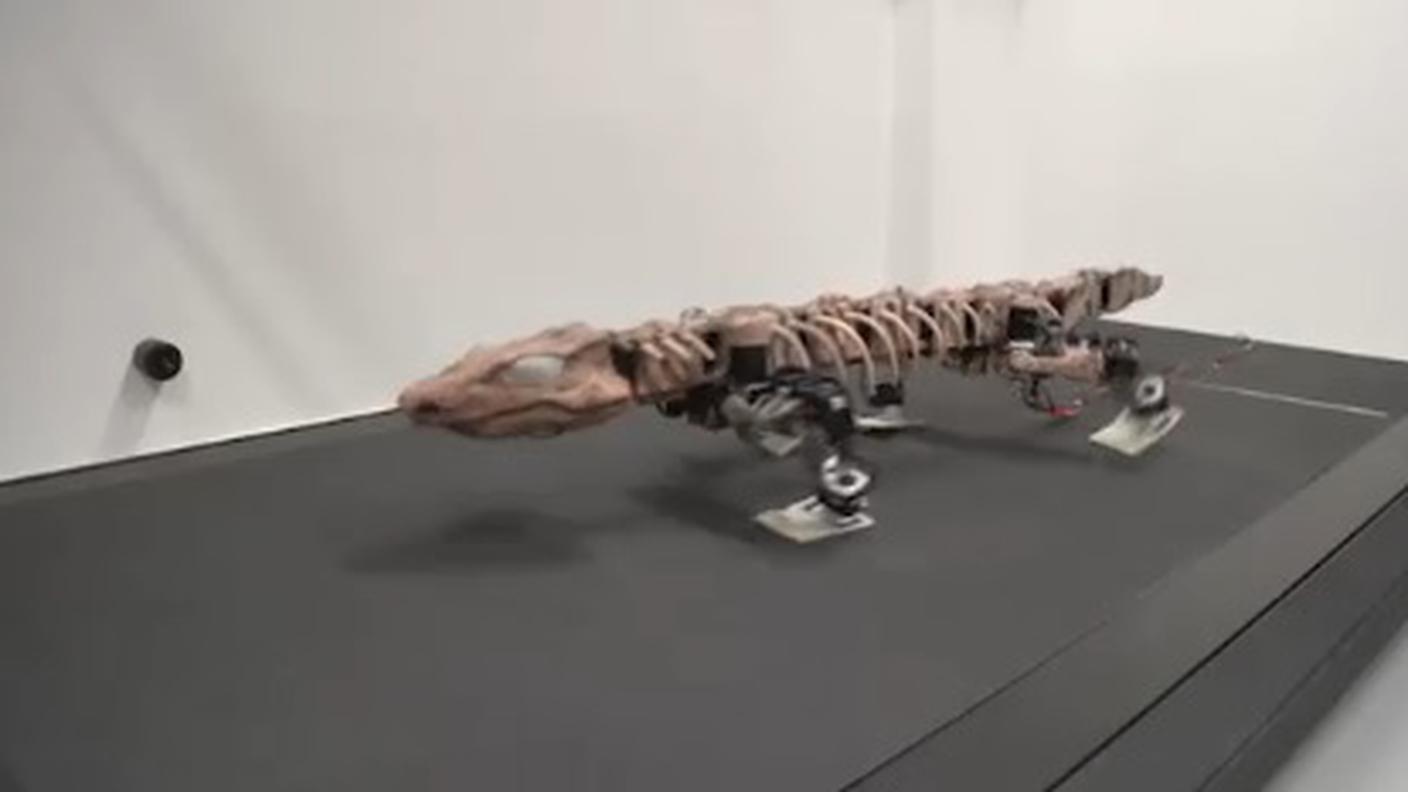 Un robot per imitarlo