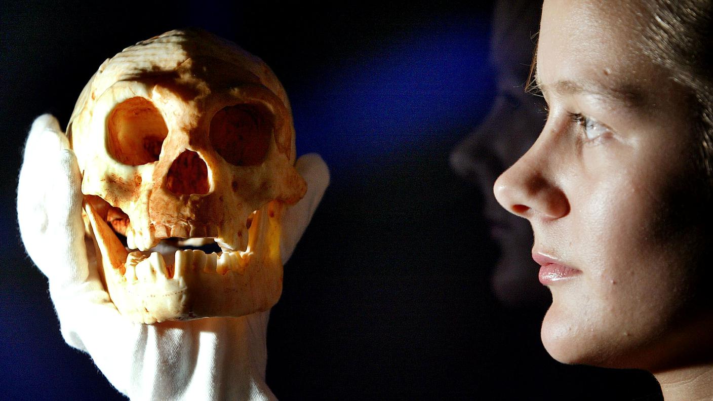 Il cervello umano è circa tre volte più grande di quello delle grandi scimmie