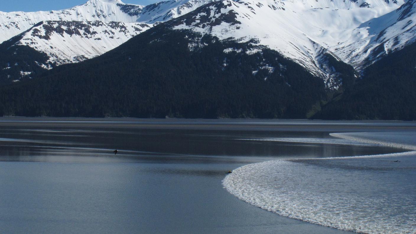 Le impronte sono state ritrovate nell'area di Aniakchak, a circa 670 km dalla città più popolosa dell'Alaska