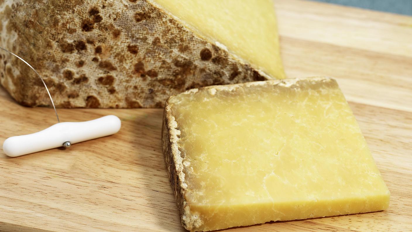 Formaggio Cantal