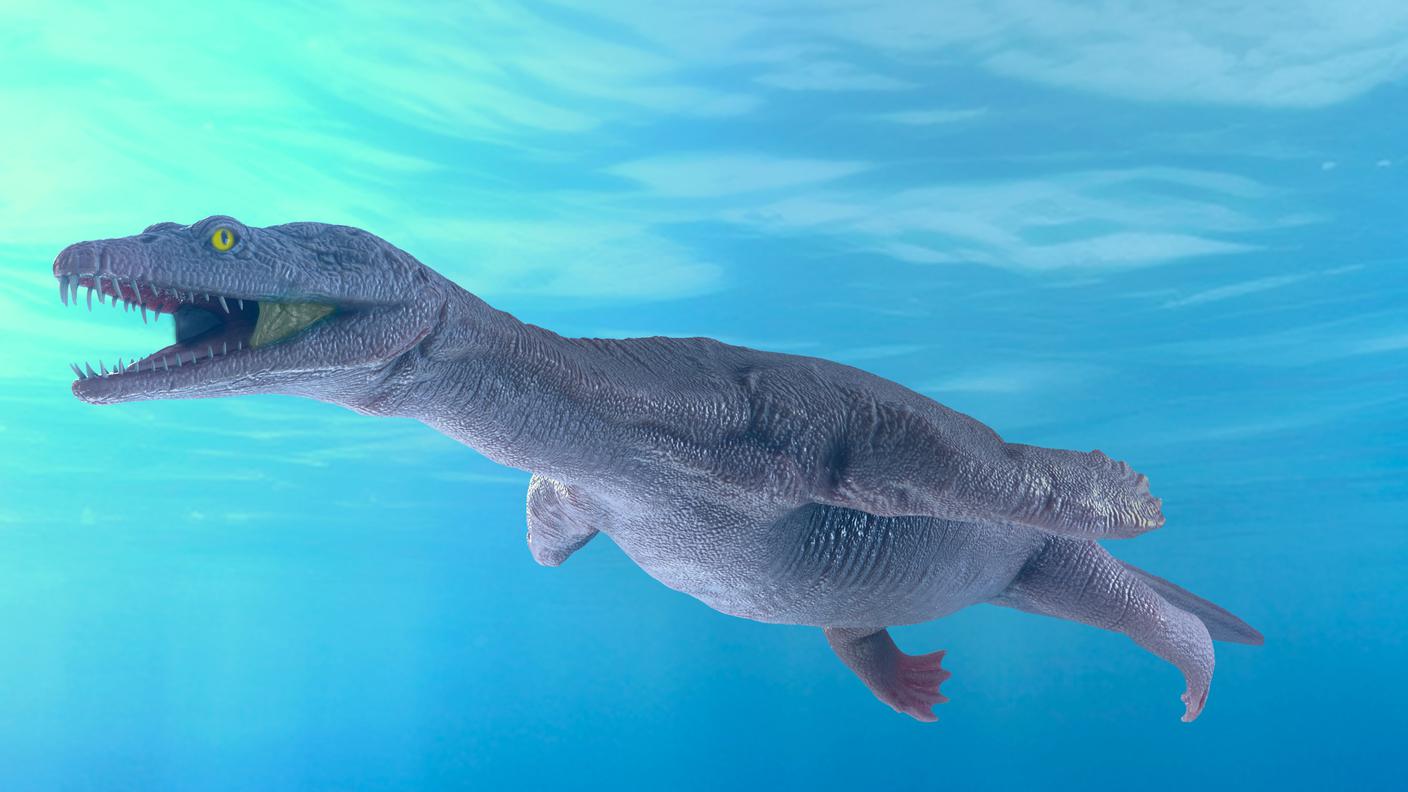 Immagine 3 - Ricostruzione 3D di Lariosaurus valceresii.jpg