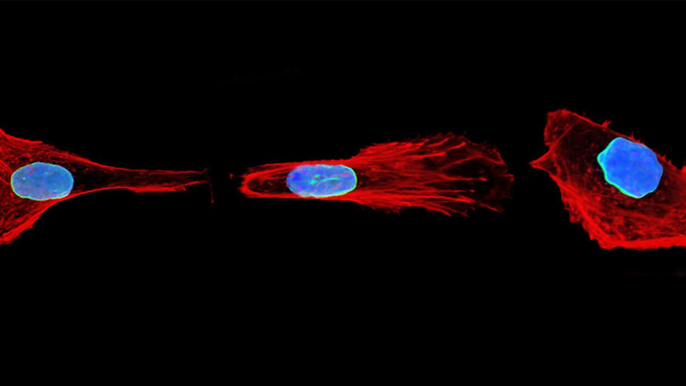 News_Brückner_NaturePhysics_1000x500.jpg