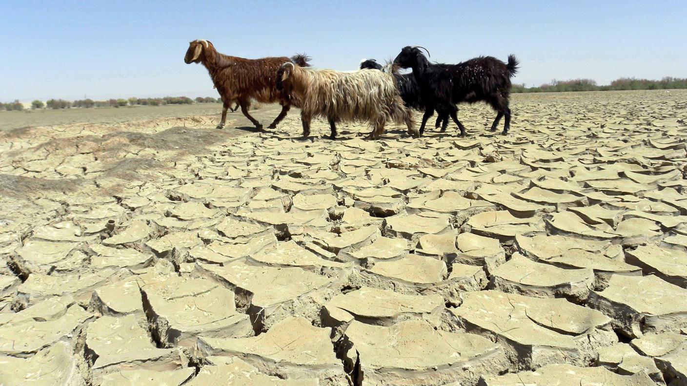 Siccità in Afghanistan