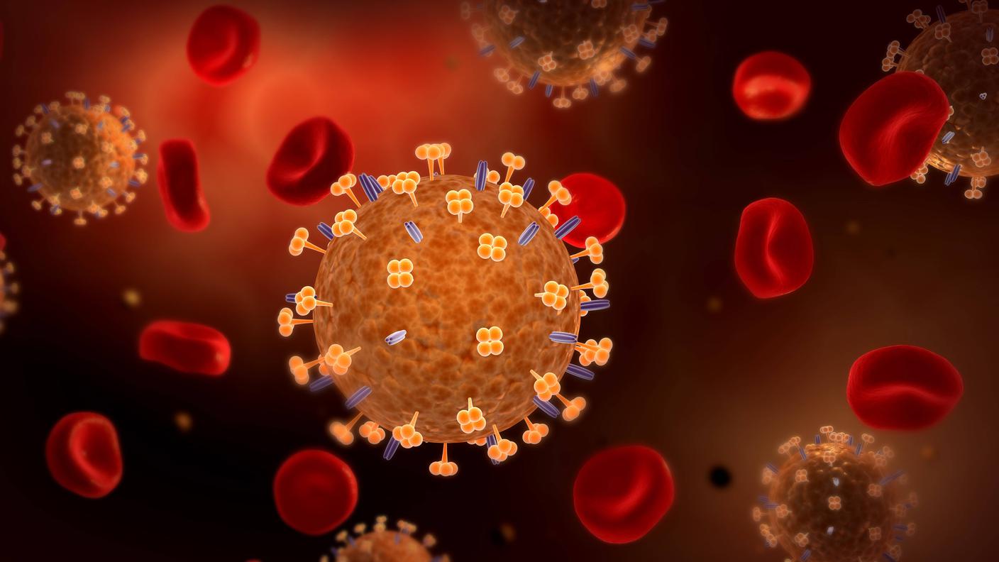 influenza virus