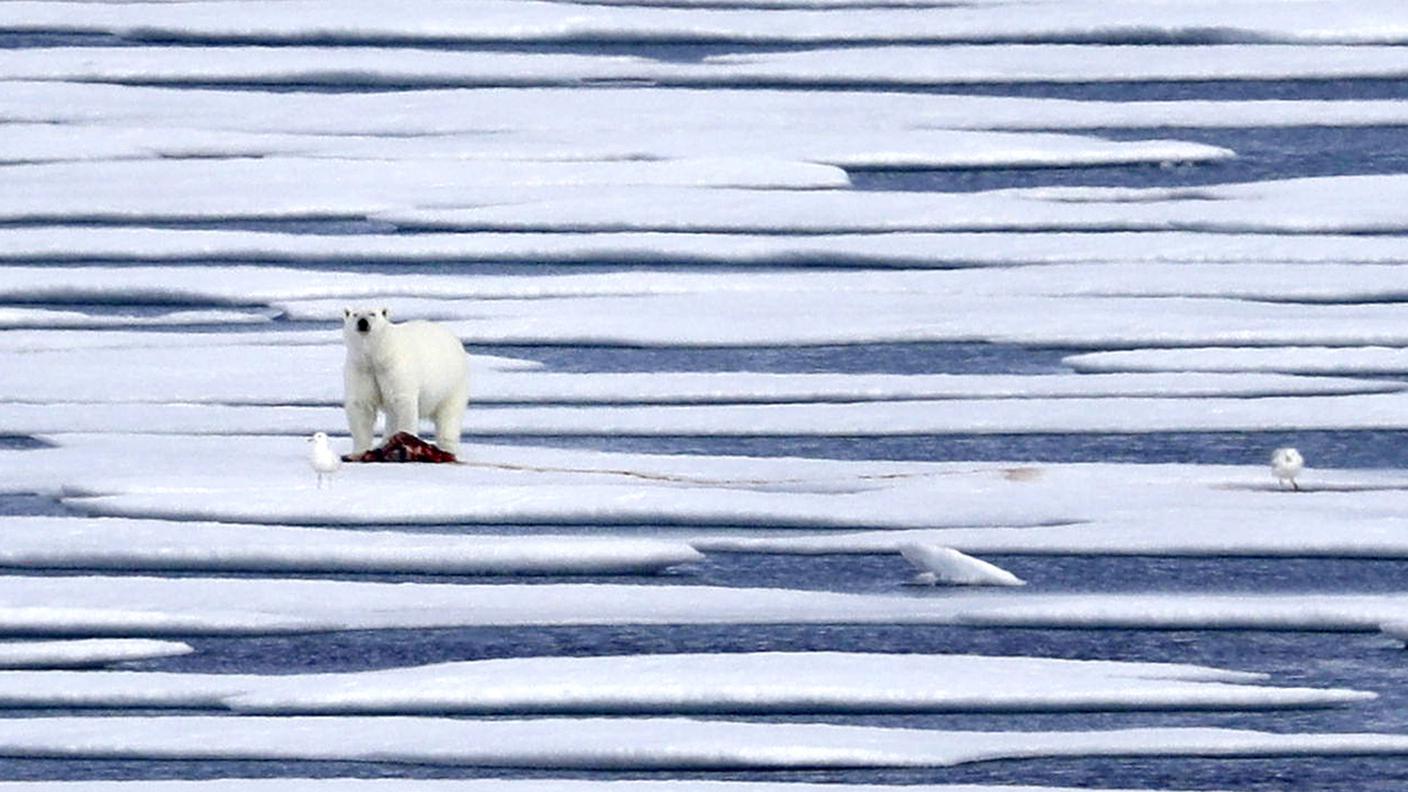 Il clima è in continuo cambiamento