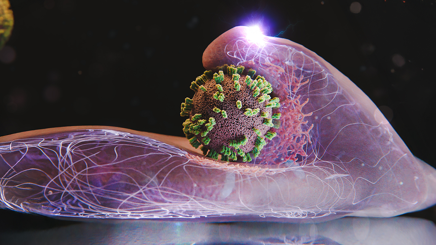 Una rappresentazione artistica di una cellula che ingloba un virus, posto al centro dell'immagine