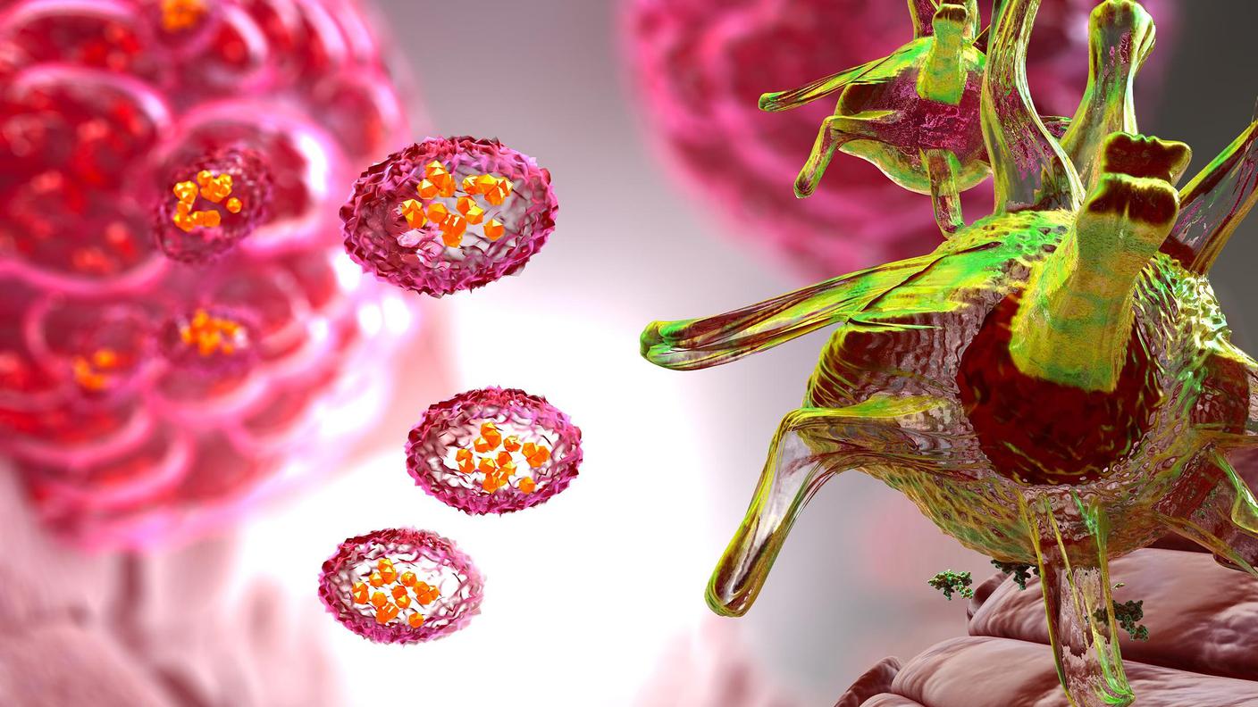 Rappresentazione artistica di cellule dendridiche ingegnerizzate (a destra) che interagiscono con vescicole extracellulari derivate dai tumori (a sinistra) per stimolare la risposta immunitaria anti-tumorale, come studiato dal professor Michele de Palma e il suo gruppo di ricerca al Politecnico Federale di Losanna.