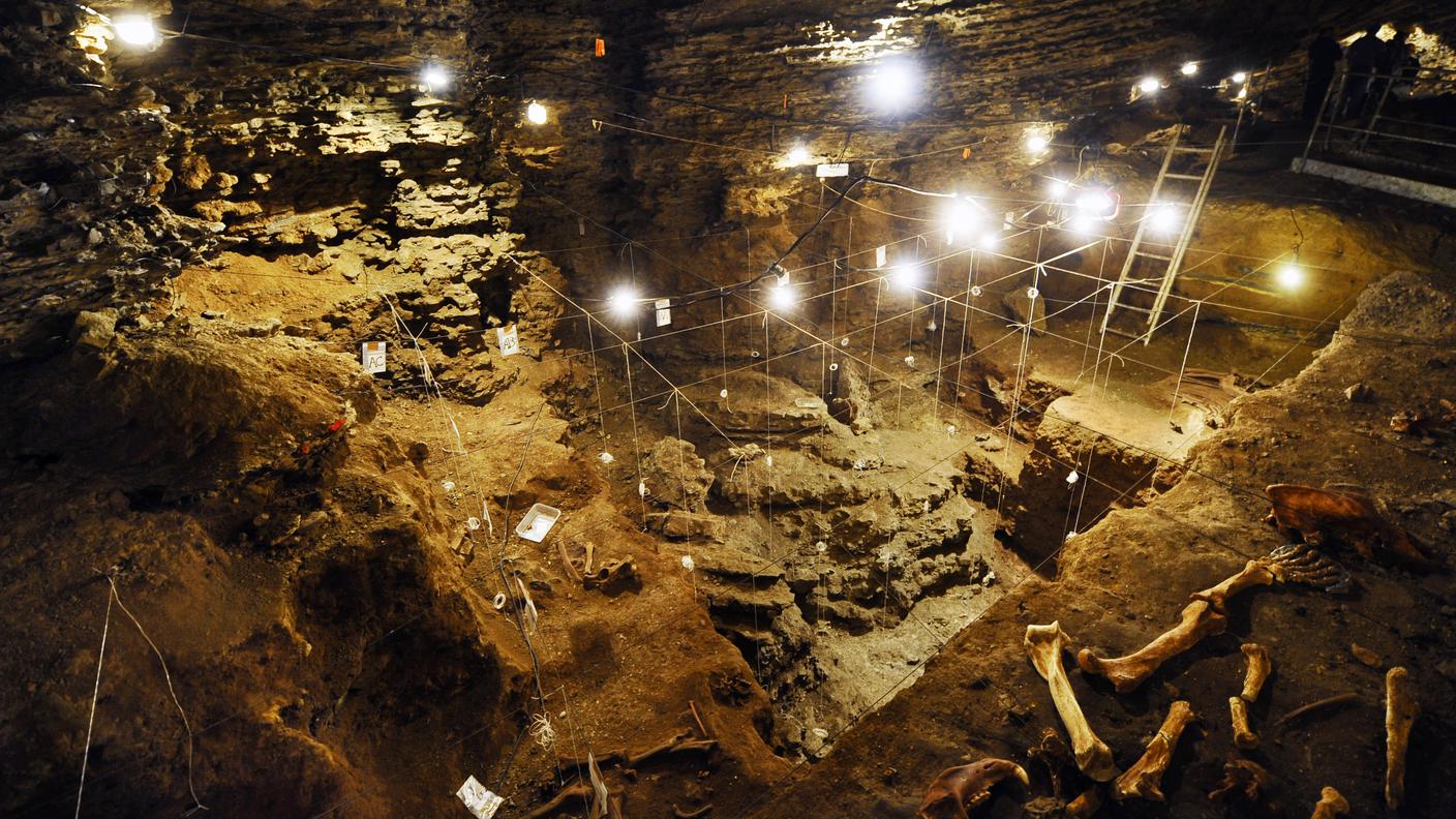 La Grotta dell'orso: le sezioni determinate dai fili tracciati servono a catalogare ogni particolare reperto in funzione della zona dove è stato recuperato