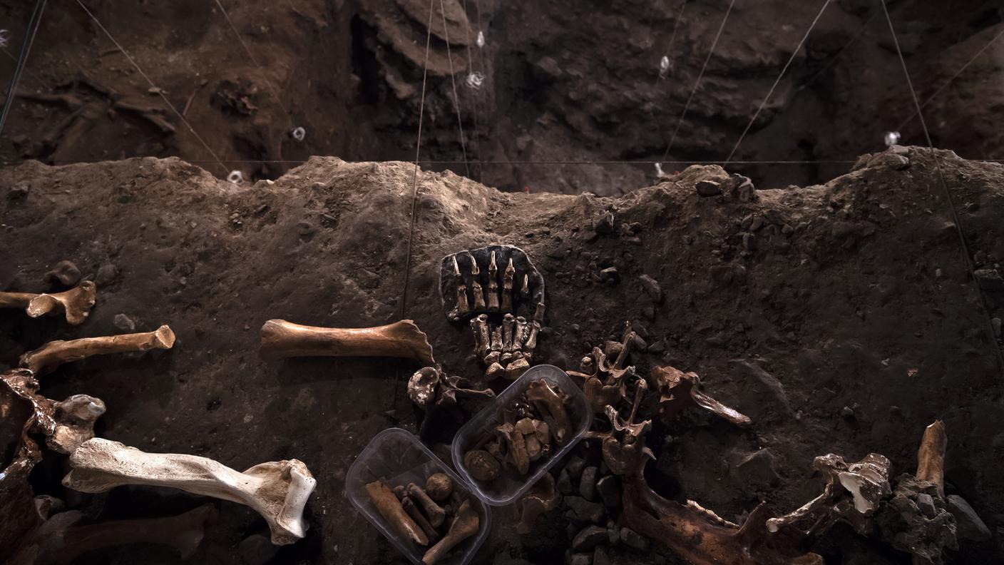 Frammenti ossei nella Grotta dell'orso 