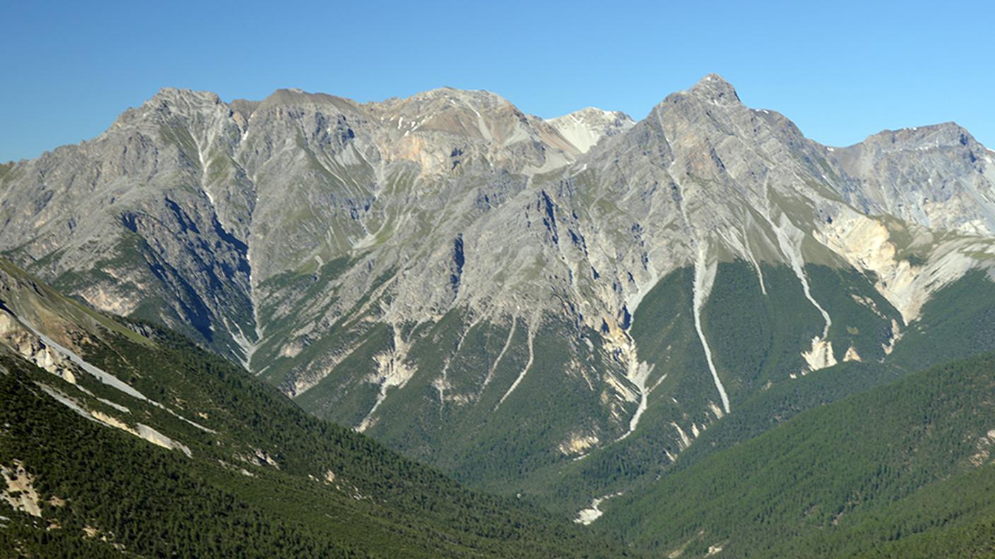 Linea degli alberi nel Parco Nazionale Svizzero