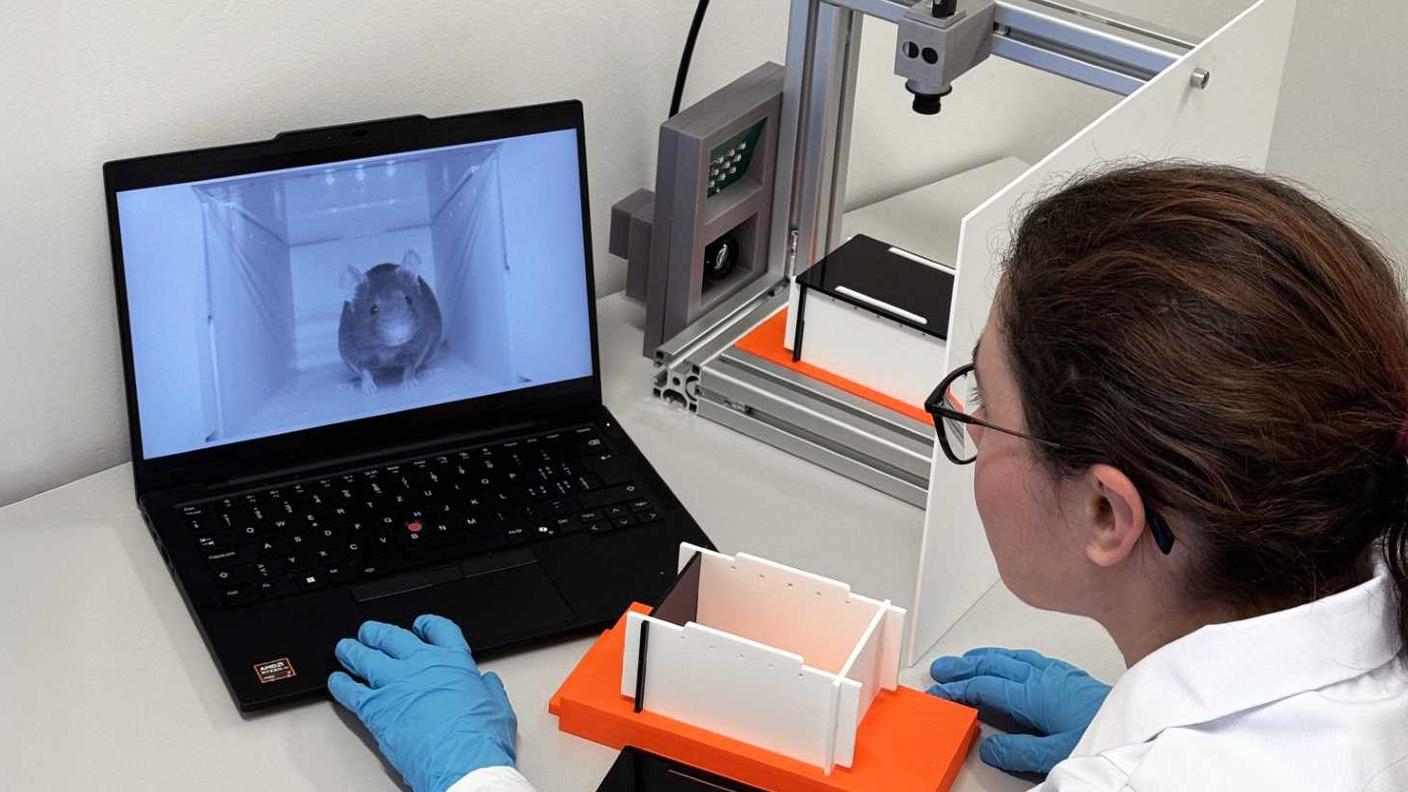 Il sistema di intelligenza artificiale messo a punto dai ricercatori del Politecnico di Zurigo, con la scatola contenente il topo visibile a destra, circondata da due telecamere.  Sullo schermo si può vedere l'immagine dell'animale ripresa dal sistema.