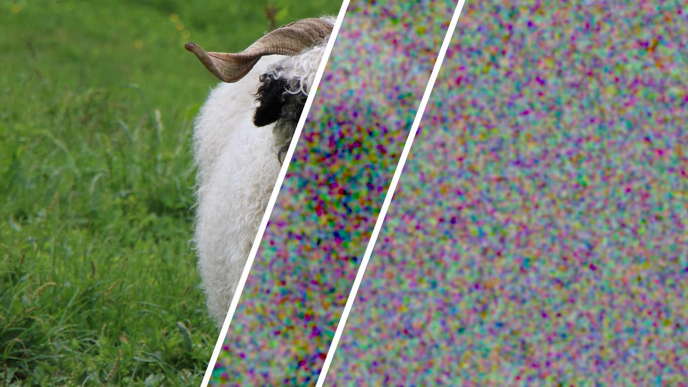 A sinistra l'immagine di un montone, in centro la stessa crittografata utilizzando dei numeri casuali tradizionali, a destra invece crittografata con numeri generati dal sistema quantistico del Politecnico di Zurigo.