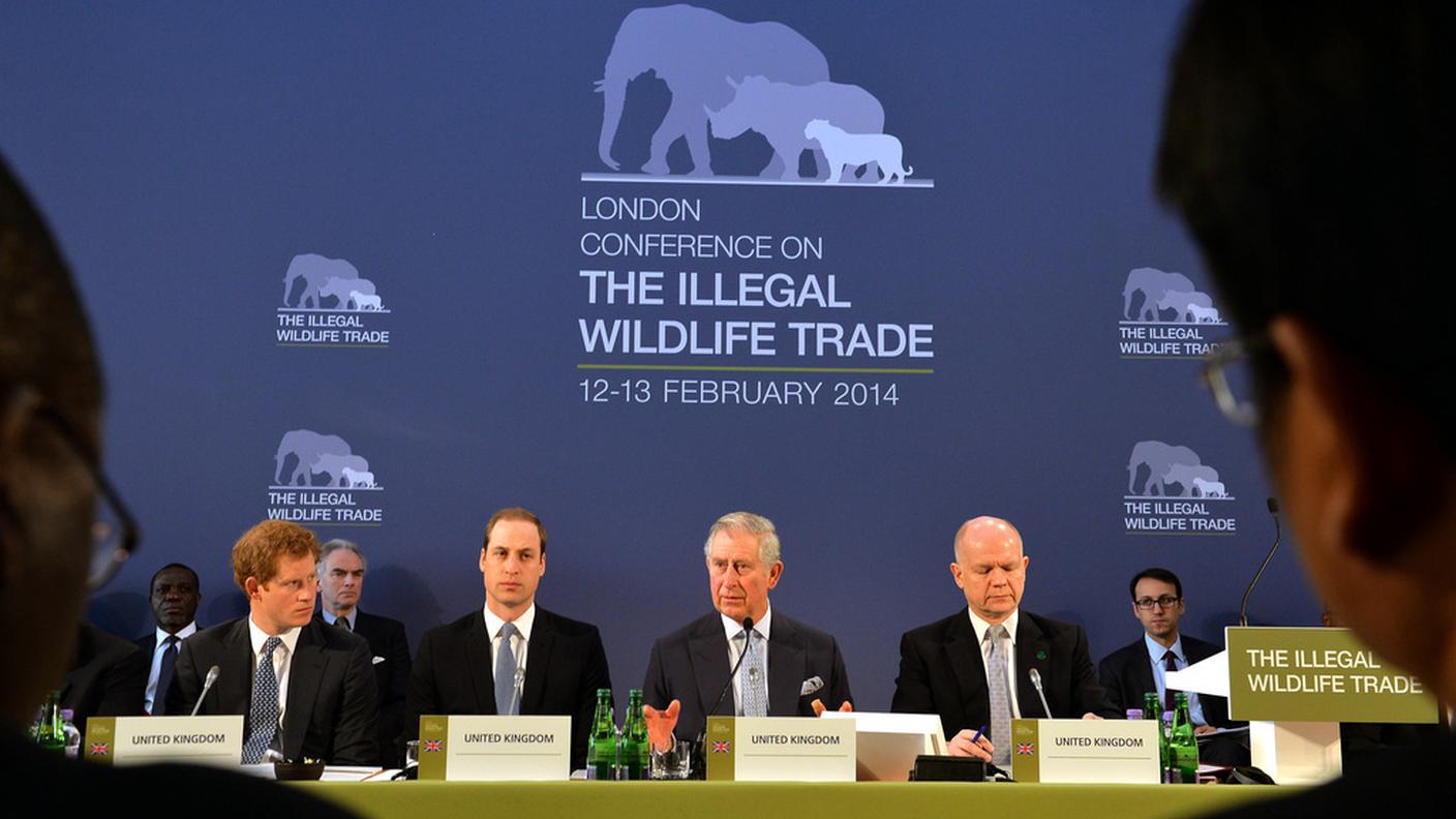 Harry William Charles bracconaggio Londra 13.2.2014 ky.JPG
