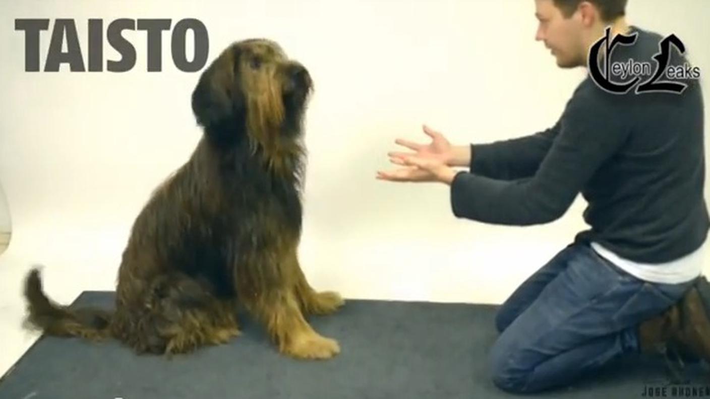 Il filmato da Youtube