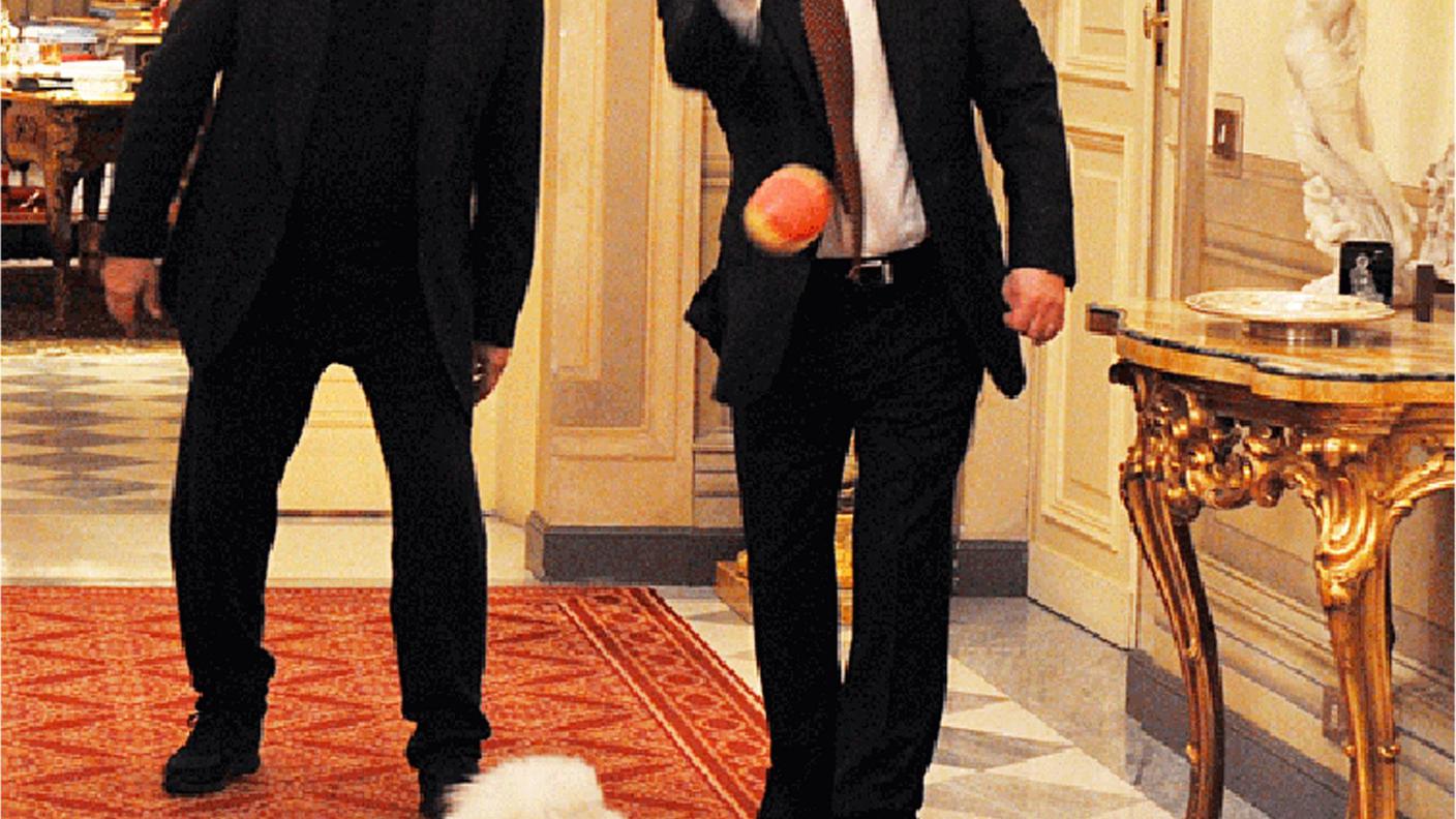 dudu foto, ansa.jpg
