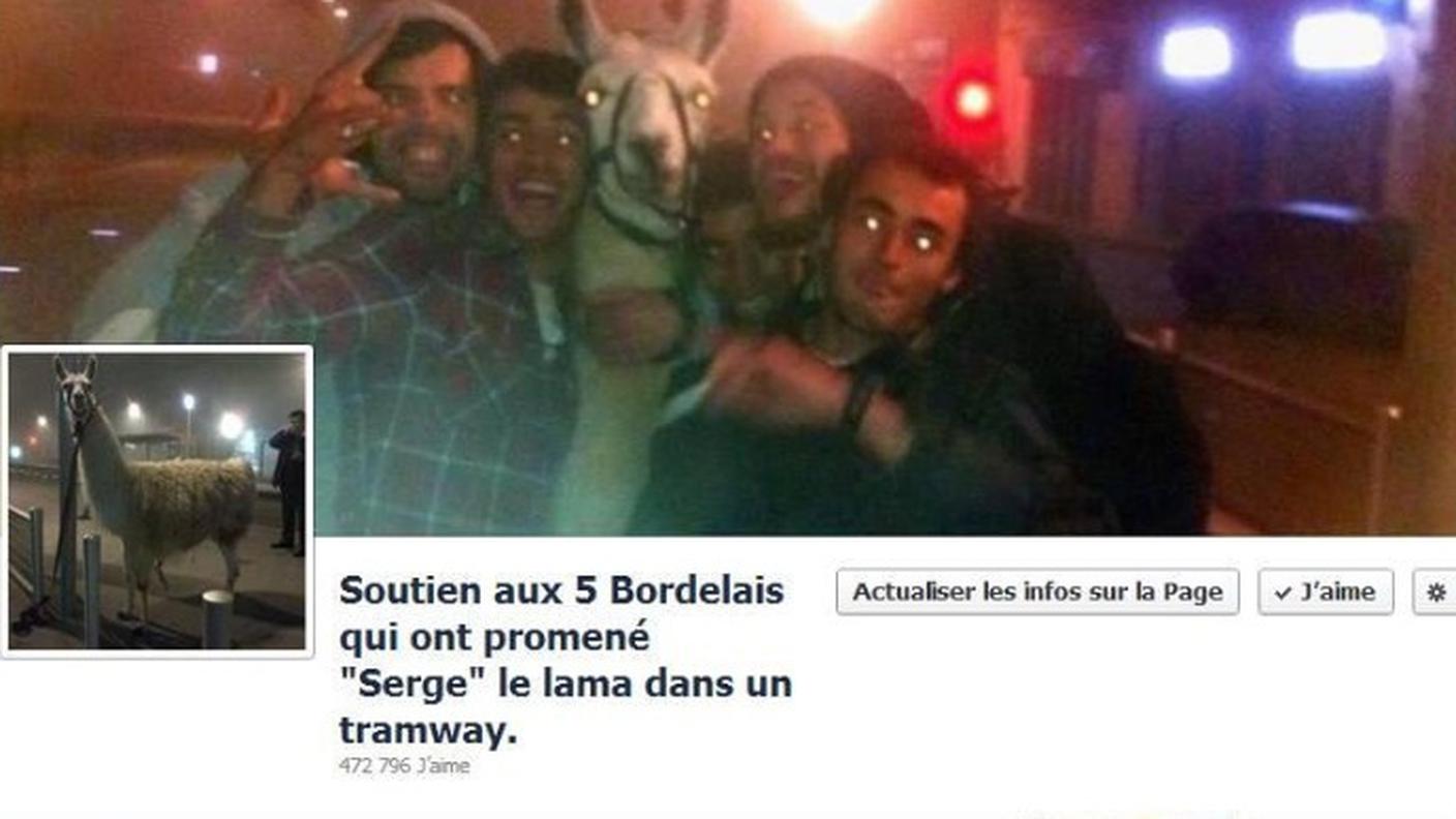 sergelelama4.jpg