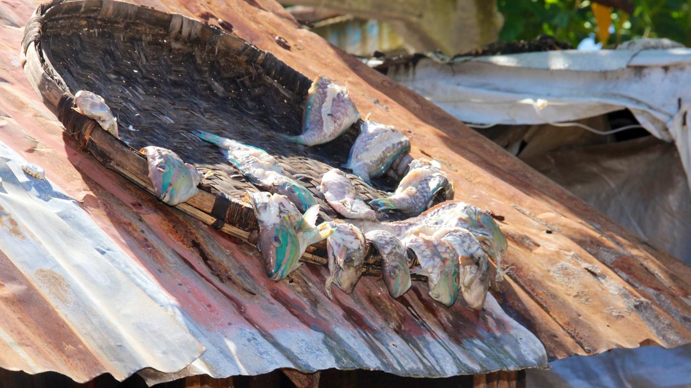 Haiti_pescatori_Verzasconi4.JPG