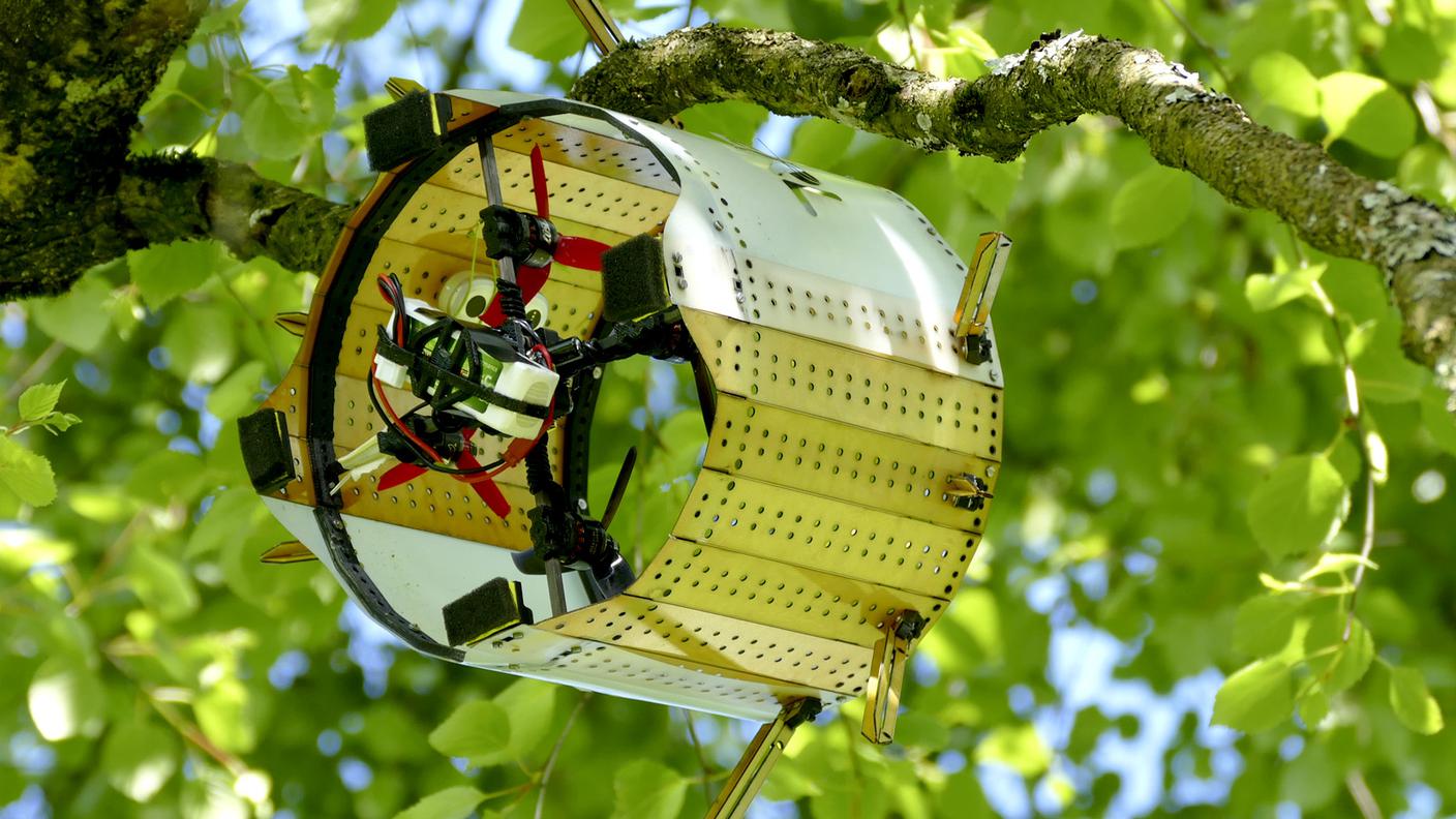 Il drone che si appoggia sui rami degli alberi