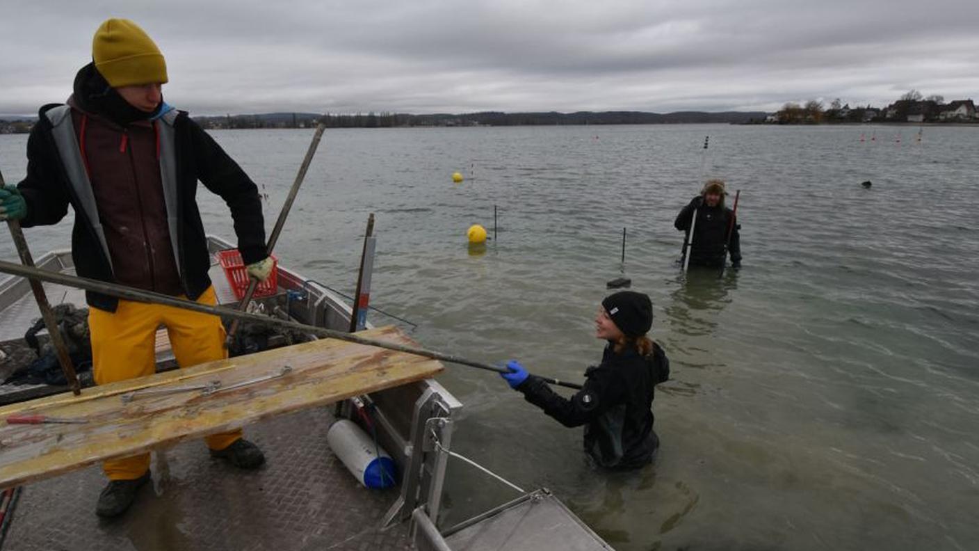 Squadra di immersione
