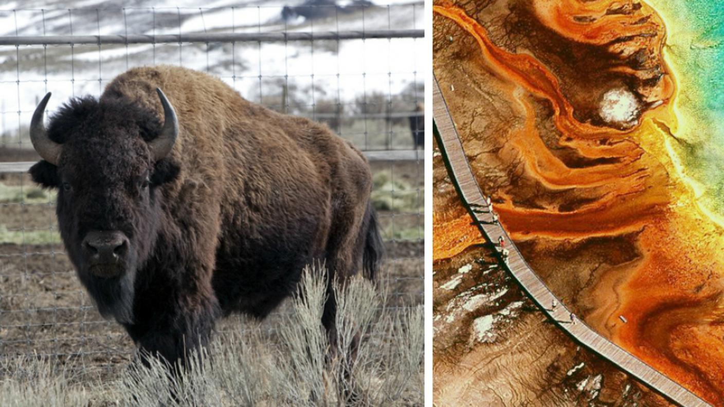 yellowstone,ky.jpg